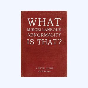 Search Engine For Growth